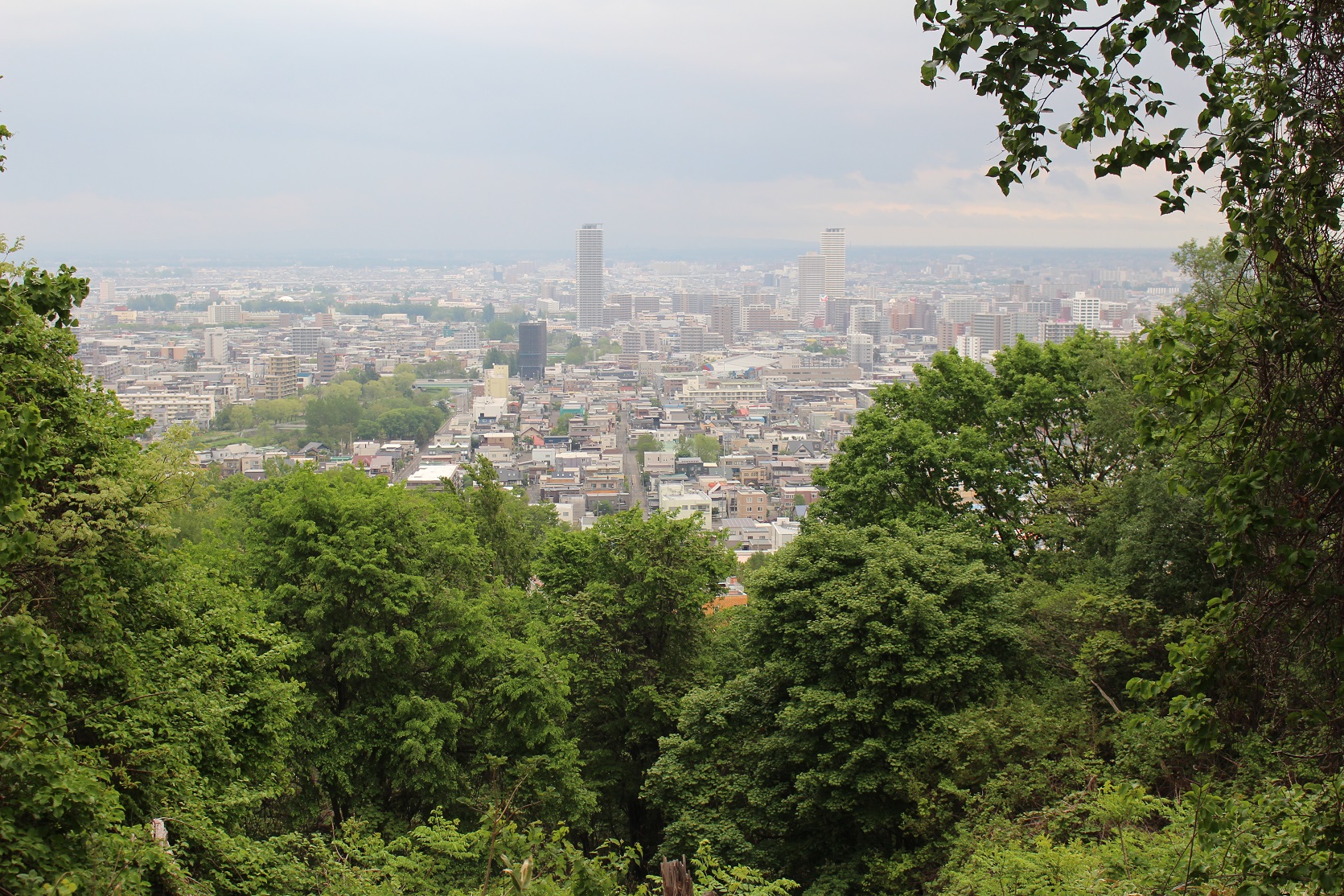 寺口山